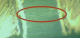 f_e303f1679f20c585deaa975485932d24.png